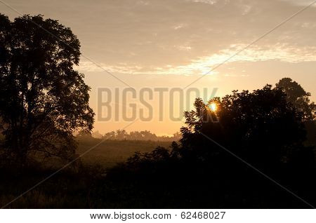 sunrise