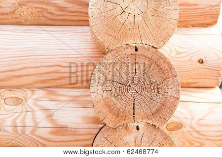 Wooden Hause. Sectioned Log.