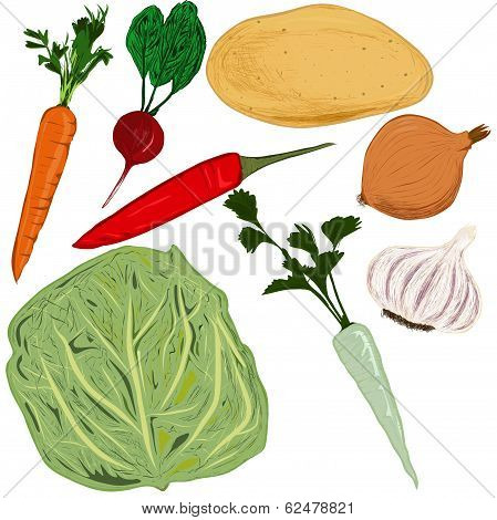 Set of vegetables