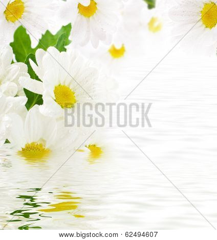 Flowers and batterfly, dark blue hand bells