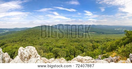 Deciduous Forests Panoramic View