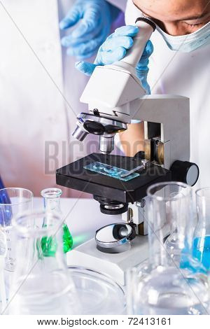 scientists in the chemical laboratory