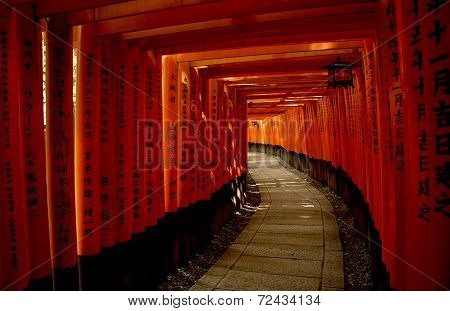 Red Torii Gates In Fushimi Inari Taisha Shrine In Kyoto