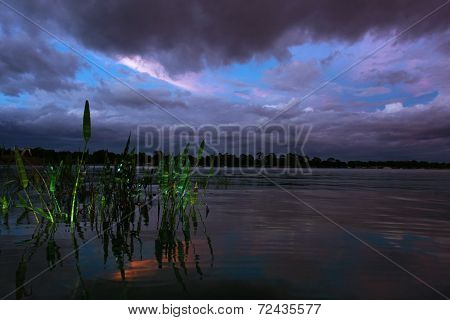 Pickerel Peace at Dusk