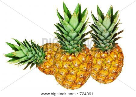 Trois ananas isolés on white