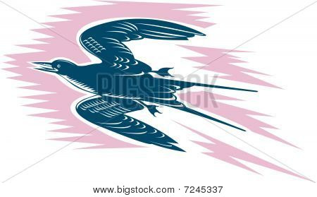 Tern, die fliegen