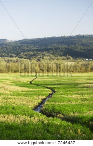 Smal Stream