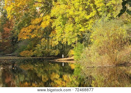 Fall Pond