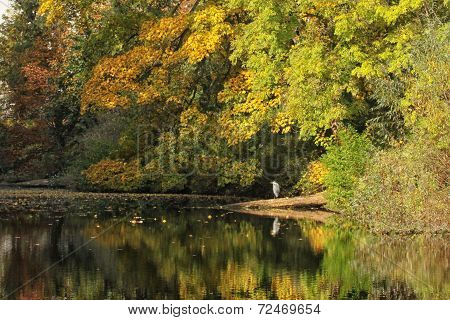 Fall Pond