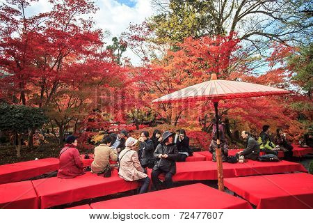 Eikando,kyoto