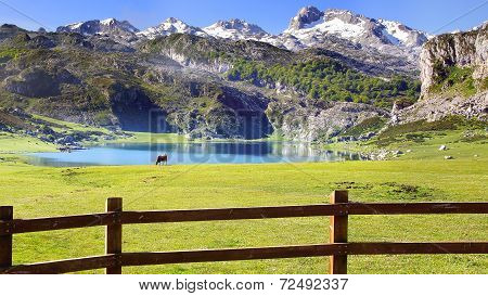 Picturesque Nature Landscape With Lake.