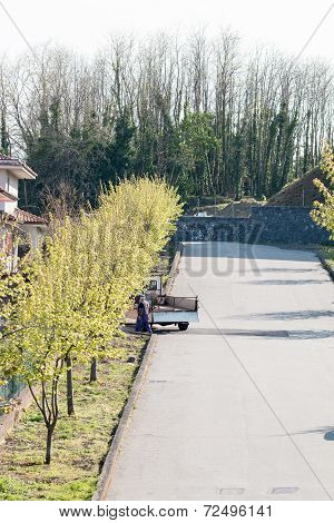 Small Street With A Man And Truck