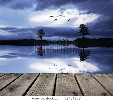 fauna in the lake at night
