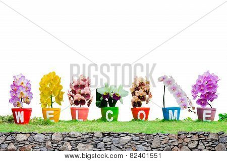 Welcome Word Made From Jardiniere  Orchid Flowers Isolated On White Background