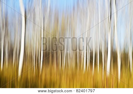 Abstract forest