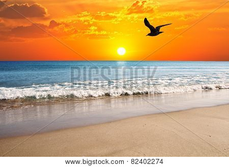 the gable and sun on the beach