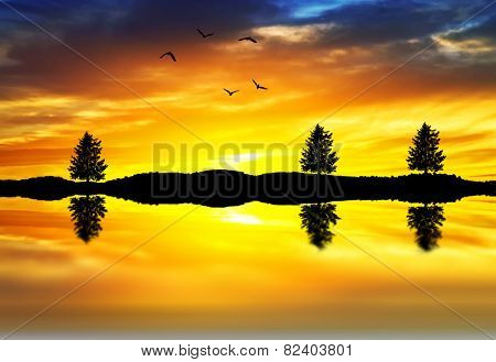 trees reflected in the lake water nen backlight