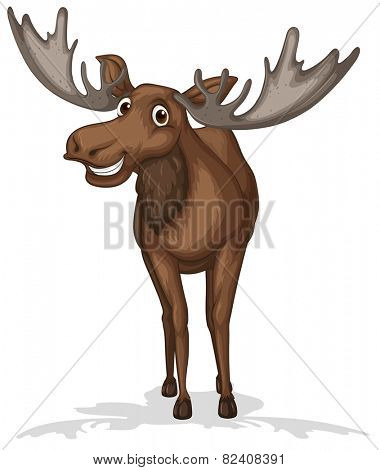 Illustration of a close up moose