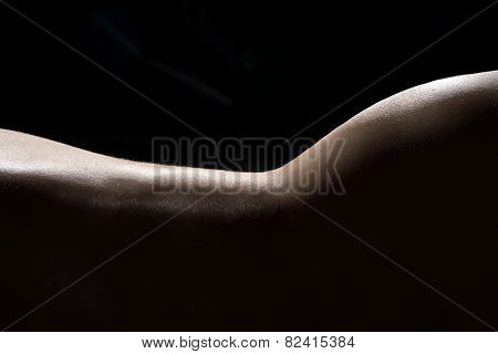 Photo Of The Woman's Back