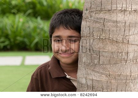 Kikade