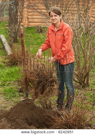 Woman Relocation  Bush Sprouts