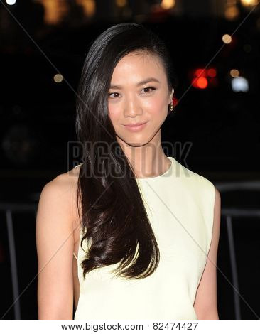 LOS ANGELES - JAN 08:  Tang Wei arrives to the 