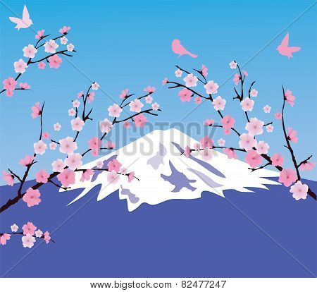 Cherry Blossom