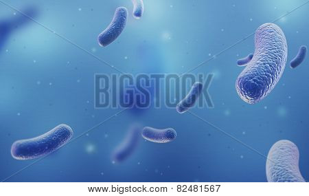 Bacteria under microscope