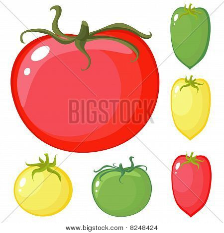 Color pomodoro