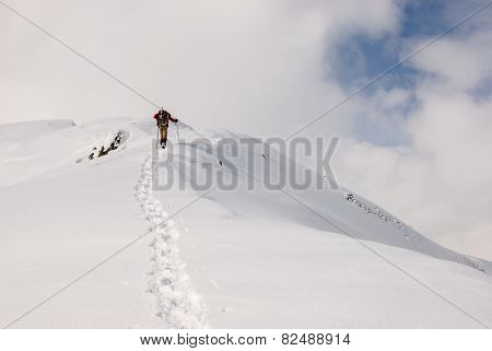 Snowshoeing