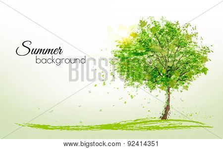 Summer background with green trees. Vector. 