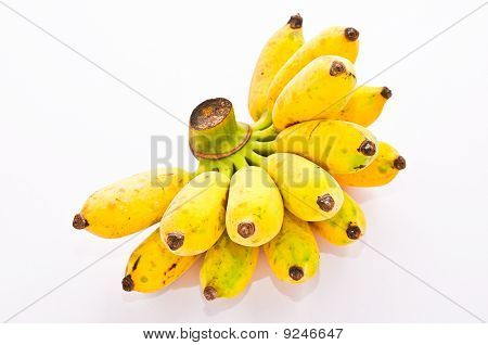 Plátano (Musa sapientum Linn)