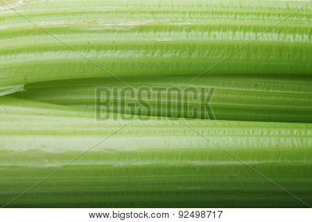fresh celery