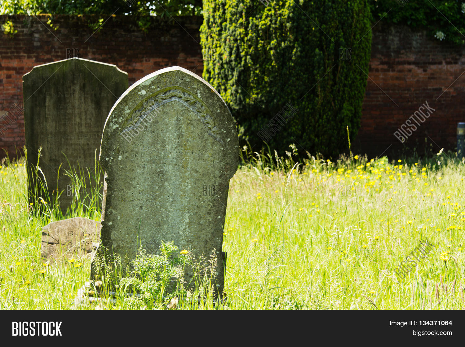камень надгробный еврейский. Grave stones. надгробный камень на кладбище. Grave stones. Grave stones.