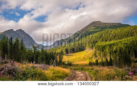 Mountain Landscape on Sunny Day. Mlynicka Valley High Tatra Slovakia.