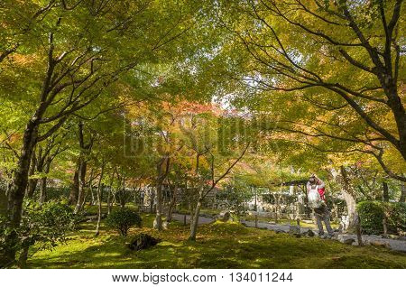 Beautiful Fall Landscape Around Kyoto