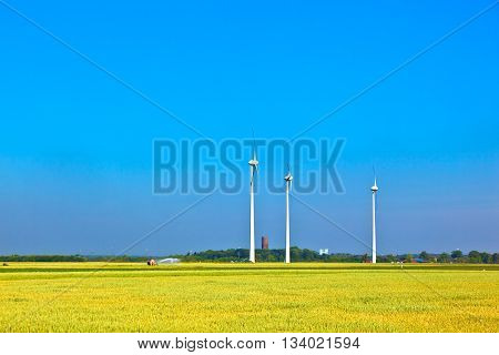 Wind Energy Wowers Standing In The Field In Spring