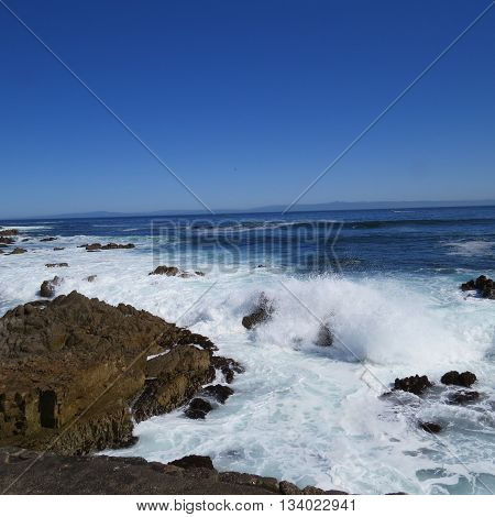 Waive action at Asilomar State Preserve in Pacific Grove, California, U.S.A.