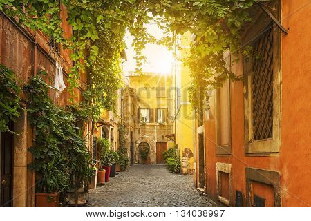 Old street in Trastevere in Rome Italy