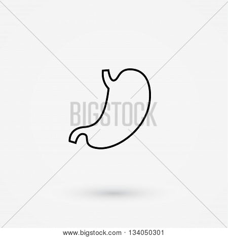 Line vector stomach icon. Medicine gaster symbol. Human internal organs