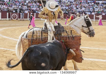 Ubeda Spain - October 3 2010: Picador bullfighter lancer whose job it is to weaken bull's neck muscles in the bullring fo Ubeda Jaen province Spain