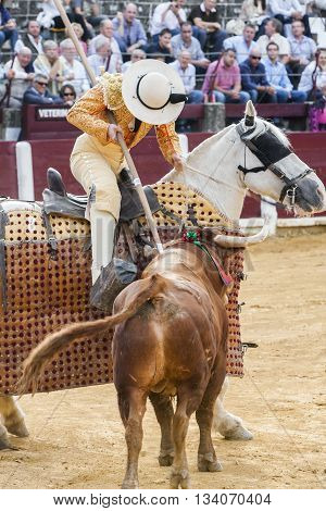 Ubeda Spain - October 3 2010: Picador bullfighter lancer whose job it is to weaken bull's neck muscles in the bullring fo Ubeda Jaen province Spain