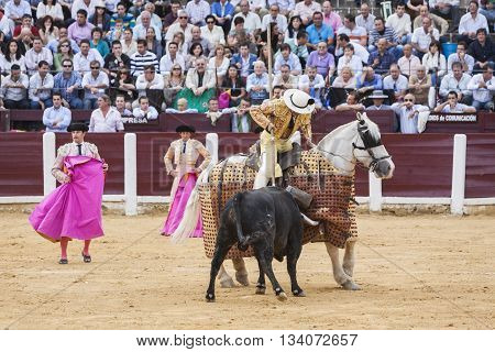 Ubeda Spain - October 3 2010: Picador bullfighter lancer whose job it is to weaken bull's neck muscles in the bullring fo Ubeda Jaen province Spain