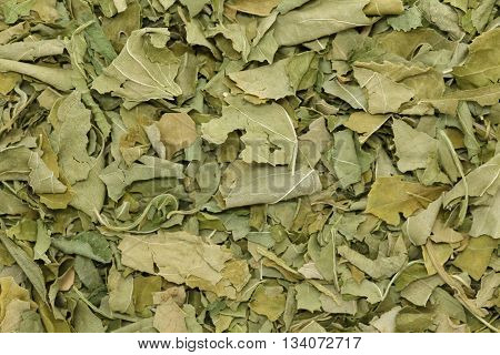 Organic dry passionflower (Passiflora incarnata) leaves. Macro close up background texture. Top view.