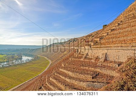 View over the vineyards (Hessigheimer Felsengaerten) - blue sky