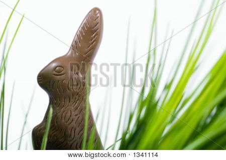  Pasqua cioccolato