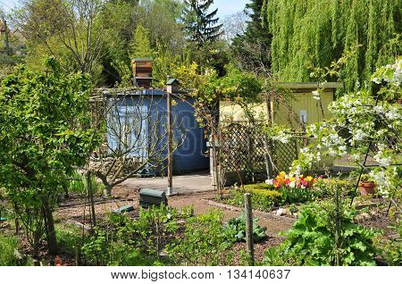 Verneuil sur Seine France - mai 2 2016 : the allotment garden in spring