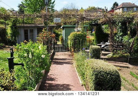 Verneuil sur Seine France - mai 2 2016 : the allotment garden in spring