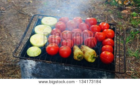 Tomatoes , peppers and zucchini are fried on the grill at a picnic in the summer