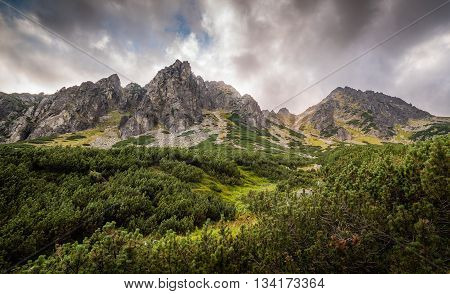Mountain Landscape with Dramatic Glowing Sky and Trees in Foreground. Mlynicka Valley High Tatra Slovakia.